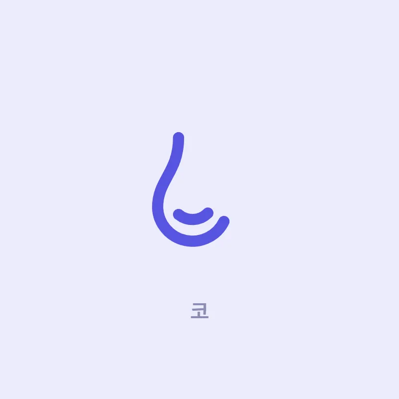 코 카테고리